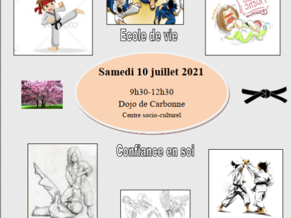 Image de l'actu 'Samedi 10 juillet : stage jujitsu à Carbonne'