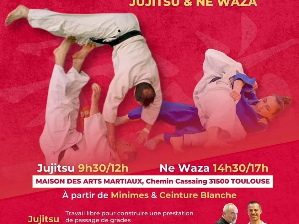 Image de l'actu '23/11/2024 : stage jujitsu et ne waza'